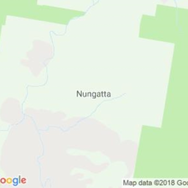Nungatta, NSW field guide