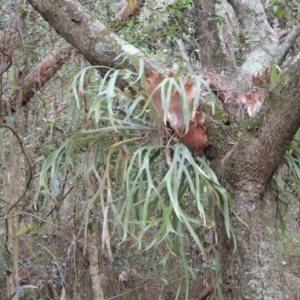 Unverified at suppressed - suppressed