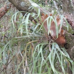 Unverified at suppressed - suppressed