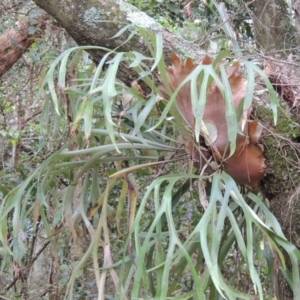 Unverified at suppressed - suppressed