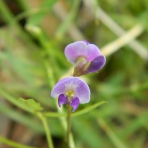 Glycine tabacina at Hume, ACT - 22 Nov 2015