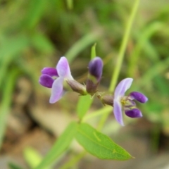 Glycine tabacina at Hume, ACT - 22 Nov 2015