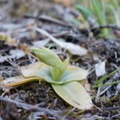 Unidentified at Undefined - 30 Aug 2014 by AaronClausen