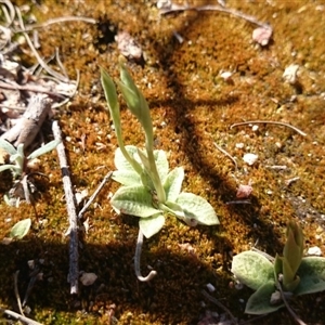 Unidentified at suppressed - 11 Sep 2014