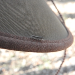 Lepidoptera unclassified IMMATURE at Fadden, ACT - 13 Feb 2016