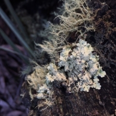 Unverified at Mount Jerrabomberra - 11 Sep 2016 by Speedsta