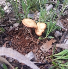 Unverified at Queanbeyan West, NSW - 17 Sep 2016 by Speedsta