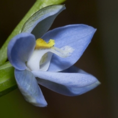 Unverified at suppressed - suppressed