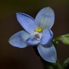 Unverified at suppressed - suppressed