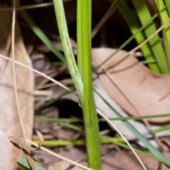 Unverified at suppressed - suppressed