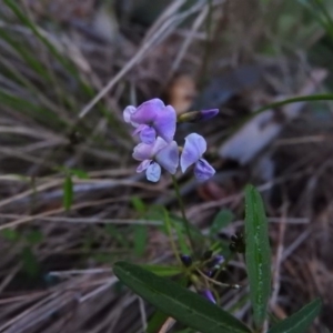 Glycine clandestina at Paddys River, ACT - 22 Oct 2016 07:18 PM