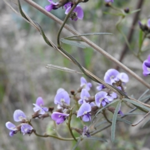 Glycine clandestina at Fadden, ACT - 29 Oct 2016