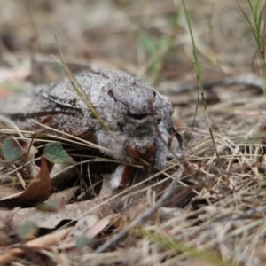 Unverified at suppressed - suppressed