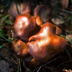 Unverified at suppressed - suppressed