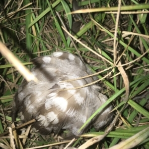 Unverified at suppressed - suppressed