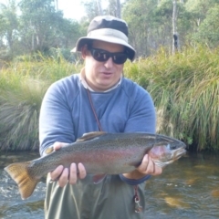 Oncorhynchus mykiss at Cotter River, ACT - 30 Apr 2014 03:38 PM