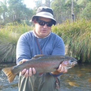 Oncorhynchus mykiss at Cotter River, ACT - 30 Apr 2014 03:38 PM