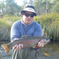 Oncorhynchus mykiss at Cotter River, ACT - 30 Apr 2014