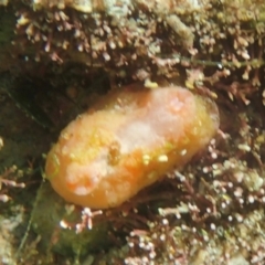 Unverified at suppressed - suppressed