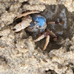 Unverified at suppressed - suppressed