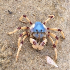 Unverified at suppressed - suppressed