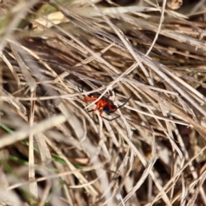 Unidentified at suppressed - 8 Apr 2018