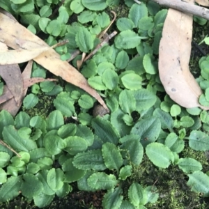 Unverified at suppressed - suppressed