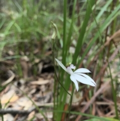 Unverified at suppressed - suppressed