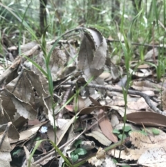 Unverified at suppressed - suppressed