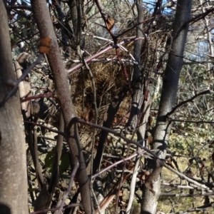 Unidentified at suppressed - 24 Jun 2018