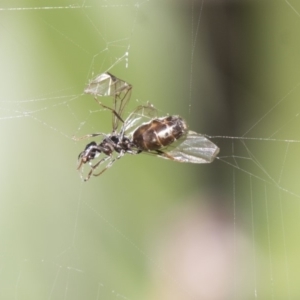 Unidentified at suppressed - 17 Apr 2018