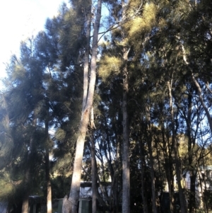 Unverified at suppressed - suppressed