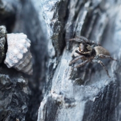 Unverified at suppressed - suppressed