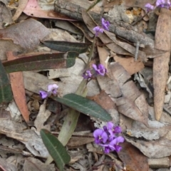 Hardenbergia violacea (False Sarsaparilla) at Bournda, NSW - 10 Sep 2014 by S.Douglas