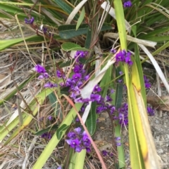Hardenbergia violacea at Cuttagee, NSW - 7 Oct 2018