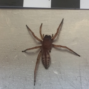 Unverified at suppressed - suppressed