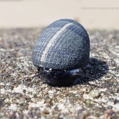 Unverified at suppressed - suppressed