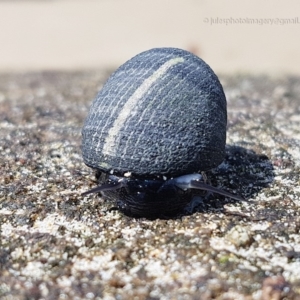 Unverified at suppressed - suppressed