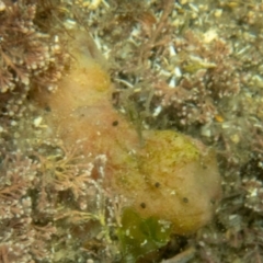 Unverified at suppressed - suppressed