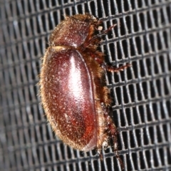 Unverified at suppressed - suppressed