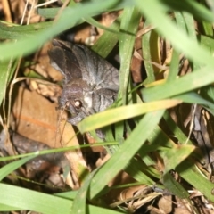 Unverified at suppressed - suppressed