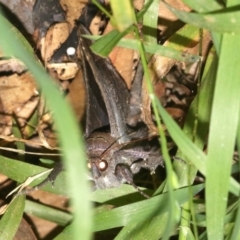 Unverified at suppressed - suppressed