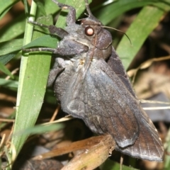 Unverified at suppressed - suppressed