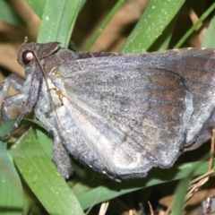 Unverified at suppressed - suppressed