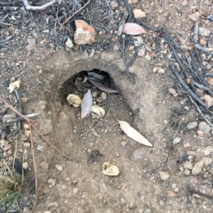 Unidentified at suppressed - 9 Mar 2019
