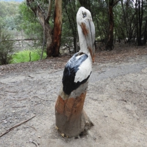 Coprinellus etc. at Paddys River, ACT - 24 May 2019 04:10 PM