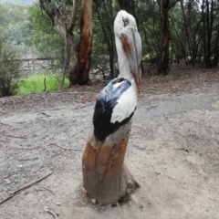 Coprinellus etc. at Paddys River, ACT - 24 May 2019