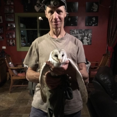 Tyto alba (Barn Owl) at Dignams Creek, NSW - 25 May 2019 by Maggie1