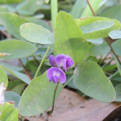 Glycine tabacina (Variable Glycine) at Conder, ACT - 30 Apr 2019 by MichaelBedingfield