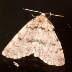 Unverified at suppressed - suppressed